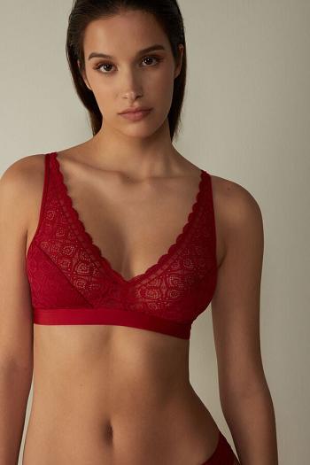 Intimssimi Lara Triangle Bra in Lace Red | ASGWC23831