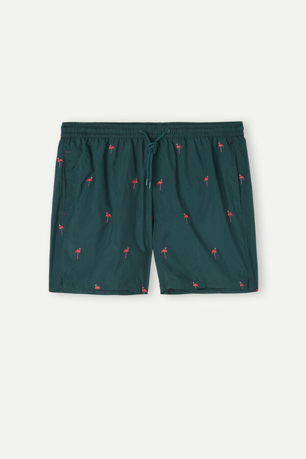 Intimssimi Embroidered Flamingo Swim Trunks Green | USGND36411